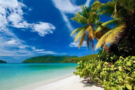 Escape To The Tropics The Top Five Caribbean Islands To