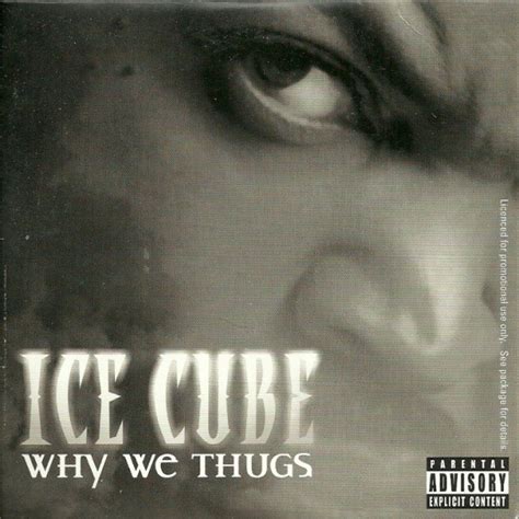 Ice Cube Why We Thugs 2006 Cd Discogs
