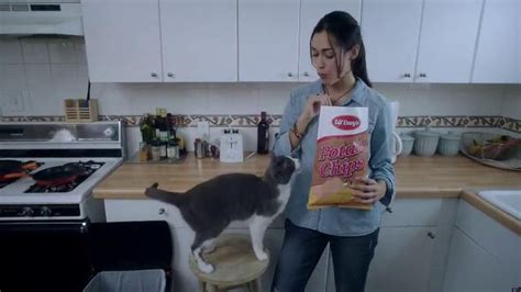 Purina Cat Chow Naturals Indoor Tv Spot Jake Ispottv