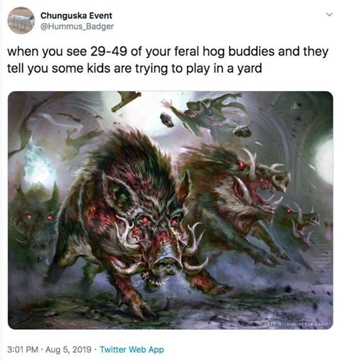 Feral Hogs Know Your Meme