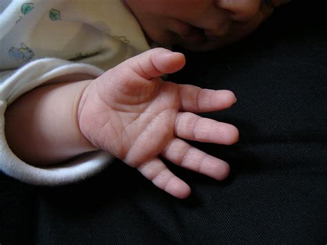 Babys Hand Free Photo Download Freeimages