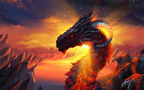 Dragon Full Hd Wallpaper And Background 1920x1200 Id199297