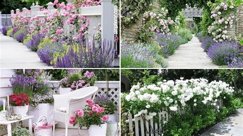 Rose Garden Ideas Your Gardening Forum
