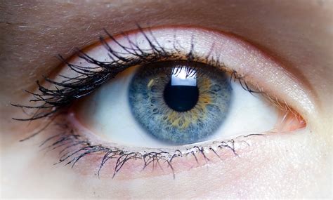 Bionic Lenses Make Eyesight 3 Times Better Than 2020 And Could