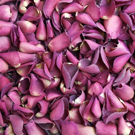 Hot Pink Rose Petals Lsf Wholesale Dried Rose Petal Confetti