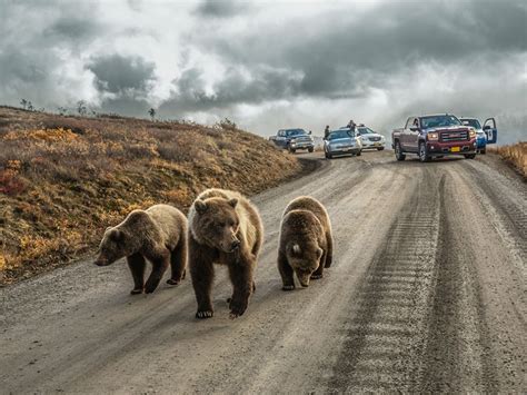 15 Of The Most Incredible Photos From National Geographic