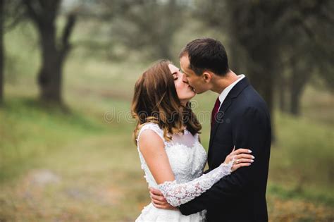 romantic fairytale happy newlywed couple hugging and kissing in a park trees in background