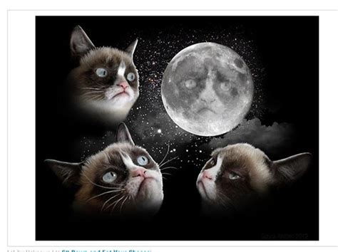 Grumpy Cat In Space Makes Me Laugh Pinterest