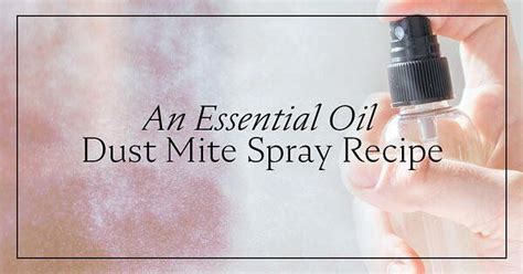 An Essential Oil Dust Mite Spray Recipe Dust Mite Spray Dust Mites