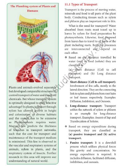 Neet Botany Transport In Plants Chapter Notes