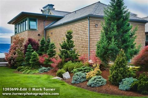 Landscaping With Fir Trees Front Yard Landscaping Backyard