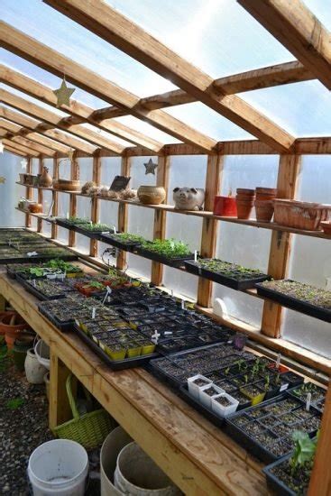 22 Greenhouse Shelving Ideas Best Greenhouse Shelf To Create Space