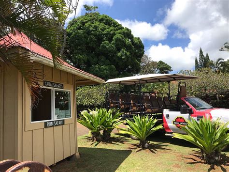 Kauai Safaris Lihue All You Need To Know Before You Go