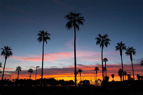 Palm Trees At Sunset In Mission Beach San Diego California Flickr