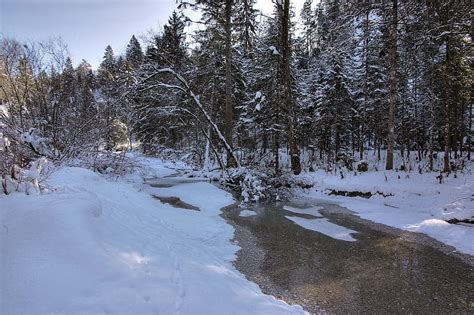 Landscape Winter Nature Rivers Snow Forest Hd Wallpaper Pxfuel