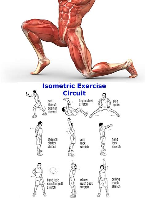 Best Isometric Exercises For Legs Bodybuilding110