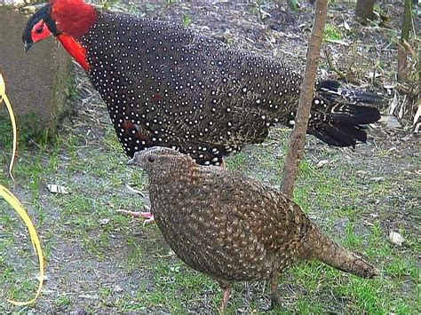 Simple Science: How to Make a Volcano with Kids