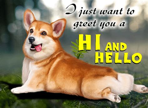Dog Wants To Greet You A Hi And Hello Free Hi Hello Ecards 123 Greetings