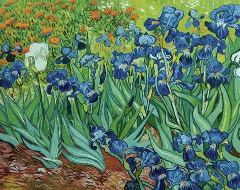 Irises 1889 By Vincent Van Gogh Painting By William Roberts Fine Art