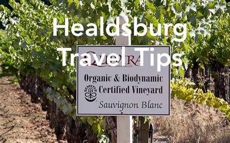 Healdsburg Wine Country Guide Which Wineries To Visit And Where To