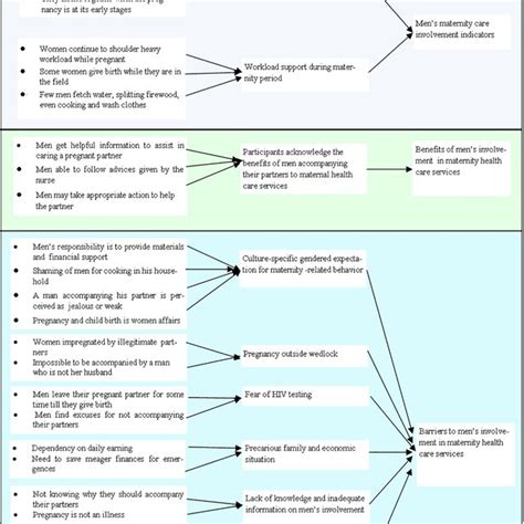 Example Of Thematic Analysis From Codes To Analytical Themes Download Scientific Diagram