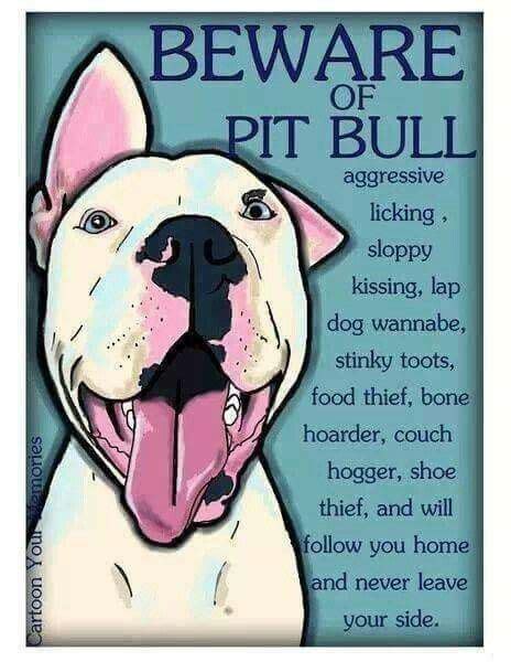 Titan Pitbull Quotes Pitbull Art Pitbull Puppies Dog Quotes Pit