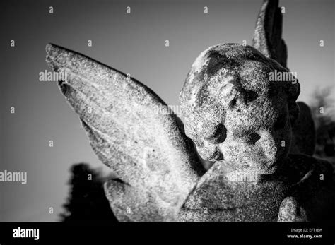 Graveyard Stones And Statues Stock Photo Alamy