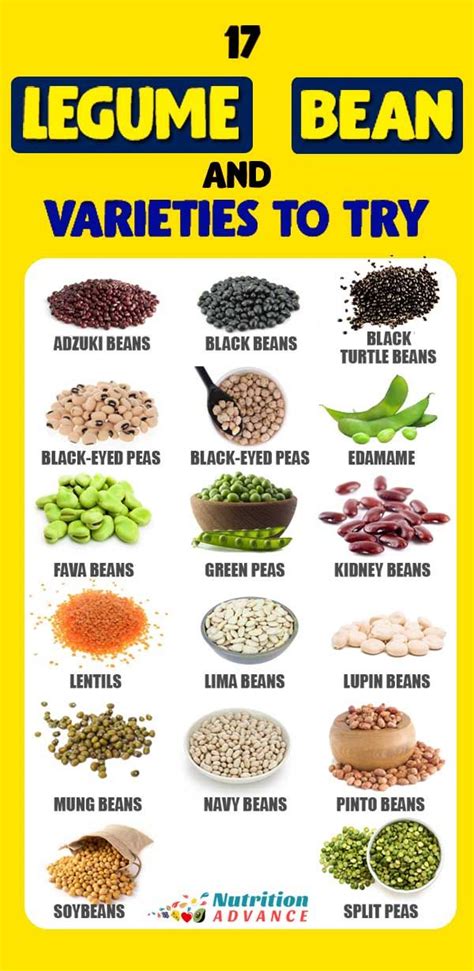 an a to z guide to beans and legumes bean varieties beans nutrition types of beans