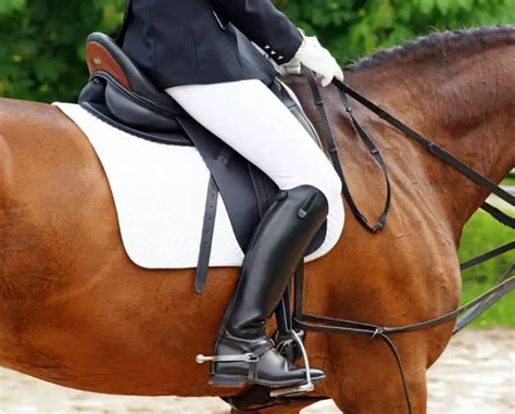 Best Womens Horse Riding Boots What Should You Wear Riding