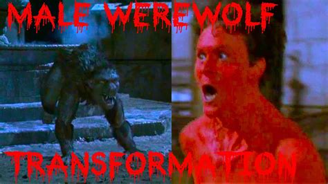 Werewolf Transformation You Are Hot Scene American