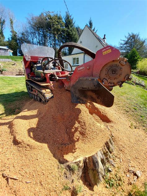 Gavin Hendry Elite Tree Stump Removal Barnstaple Nextdoor