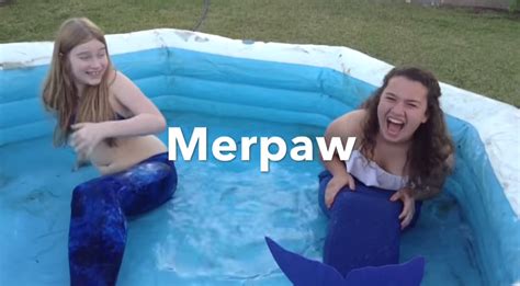 Merpaw Youtube Mermaid Shows Wiki Fandom