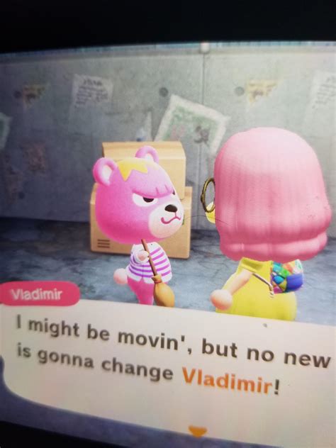 Vlad Is Moving Does Anyone Want Him As A Villager Ranimalcrossing