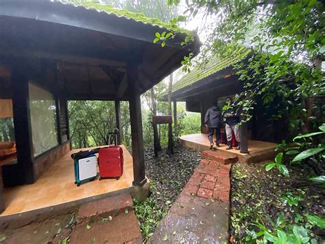 Wildernest Nature Resort 𝗕𝗢𝗢𝗞 Goa Resort 𝘄𝗶𝘁𝗵 ₹𝟬 𝗣𝗔𝗬𝗠𝗘𝗡𝗧