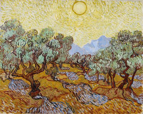 Vincent Van Gogh Olive Trees 1889 Trivium Art History