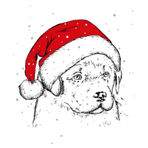 Premium Vector The Puppy In The Christmas Hat Santa Claus Dog New