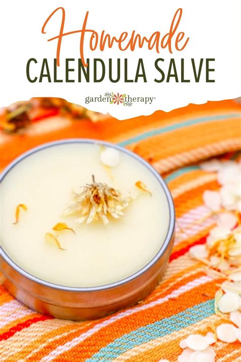 Naturally Treat Cuts And Scrapes With This Homemade Calendula Salve