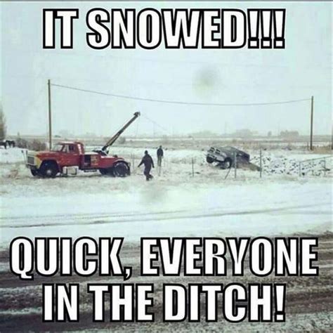 Funny Pictures Of The Day 35 Pics Snow Quotes Funny Funny Images Funny