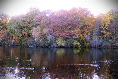 Wooster Pond Stratford Ct Photograph By Thomas Henthorn Fine Art America