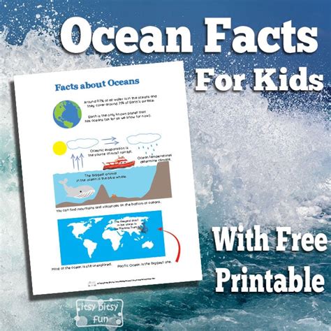 Ocean Facts For Kids