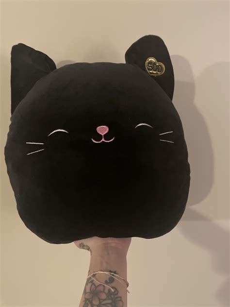 Jack The Cat He’s A Replica One Though I Found Him On Etsy R Squishmallow
