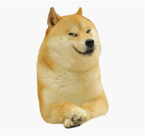 The Best 25 Cheems Dog Meme Face Png Greatblockcolor