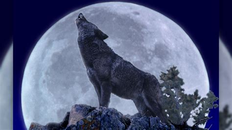 Heres How To Watch The Full Wolf Moon This Week Live Science