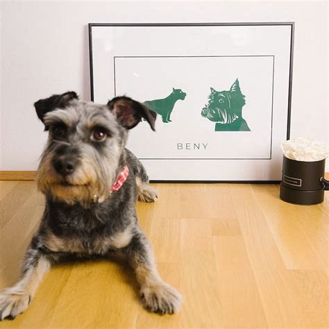 Personalized Wall Poster Dog Poster Dog Poster International Dog Day