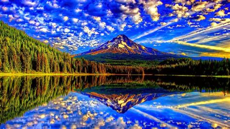 The Most Beautiful Nature Reflections Design Gallery