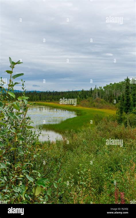 A Quiet Lake Along The Klondike Highway Stock Photo Alamy