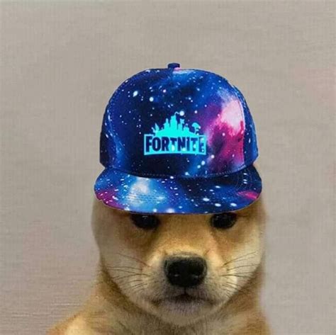 A Brown Dog Wearing A Blue Hat With The Word Fortme On Its Front