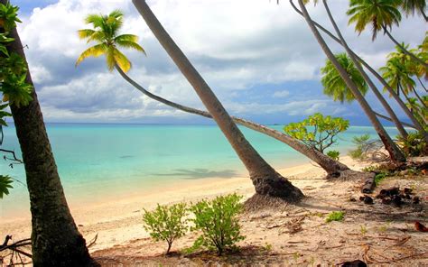 Nature Landscape Beach Palm Trees Island White Sand