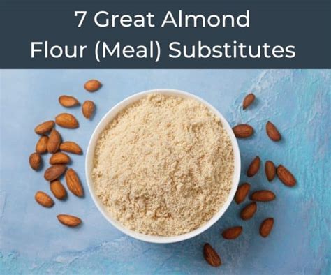 Great Almond Flour Meal Substitutes Chef S Pencil