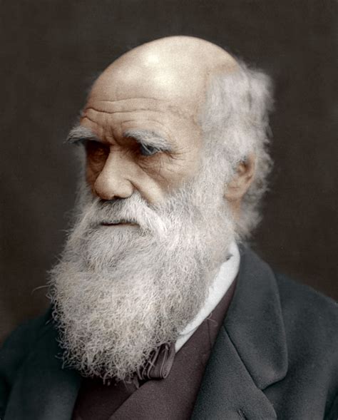 Quien Fue Charles Darwin